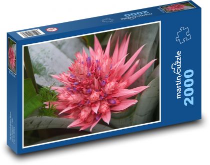 Bromelie - okrasný kvet, rastlina - Puzzle 2000 dielikov, rozmer 90x60 cm 