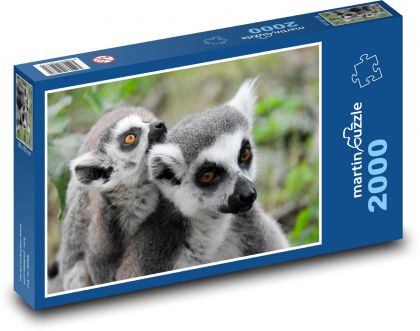 Lemurs - animals, zoo - Puzzle 2000 pieces, size 90x60 cm 