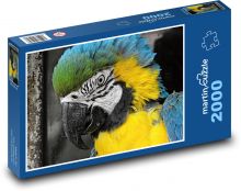 Ara - papagáj, vták Puzzle 2000 dielikov - 90 x 60 cm