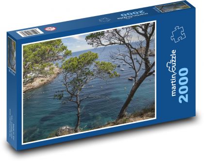 Sea - pine, coast - Puzzle 2000 pieces, size 90x60 cm 