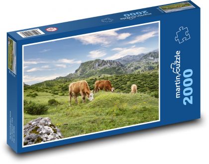 Cows - pasture, mountain - Puzzle 2000 pieces, size 90x60 cm 