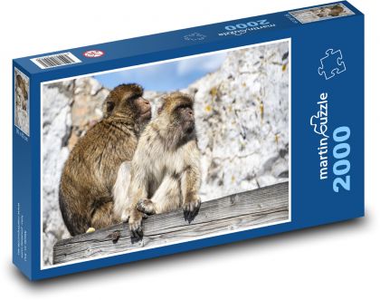 Opice - primáti, zvířata - Puzzle 2000 dílků, rozměr 90x60 cm