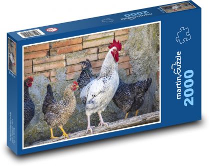 Kohout - slepice, ptactvo - puzzle 2000 dílků