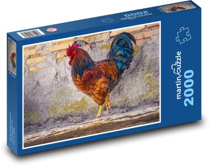 Color rooster - poultry, bird - Puzzle 2000 pieces, size 90x60 cm 