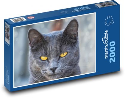 Schwarze Katze - Haustier, Tier - Puzzle - 2000 Teile