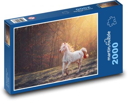 Bílý kůň v lese - příroda, světlo - Puzzle 2000 dílků, rozměr 90x60 cm