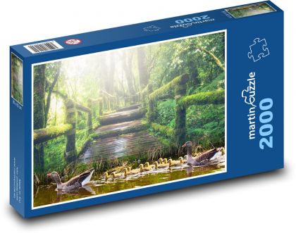 Kachny v parku - rybník, příroda - Puzzle 2000 dílků, rozměr 90x60 cm