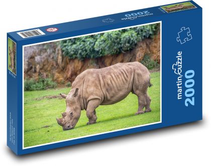 Nosorožec - divoký savec, zvíře - Puzzle 2000 dílků, rozměr 90x60 cm