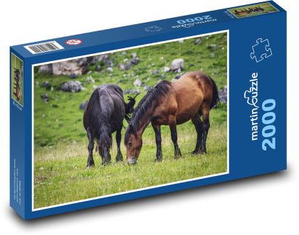 Koně na pastvě - louka, příroda - Puzzle 2000 dílků, rozměr 90x60 cm