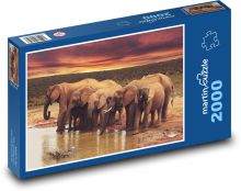 Sloni u vody - zvířata, safari Puzzle 2000 dílků - 90 x 60 cm