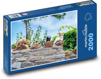 Mačky na múriku - domáci miláčikovia, zvieratá - Puzzle 2000 dielikov, rozmer 90x60 cm 