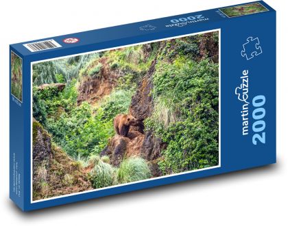 Medvěd v lese - divočina, příroda - Puzzle 2000 dílků, rozměr 90x60 cm