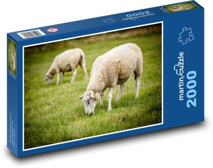Ovce, pastva, zvířata - Puzzle 2000 dílků, rozměr 90x60 cm