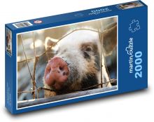 Pig - Pig - Pig Puzzle 2000 pieces - 90 x 60 cm