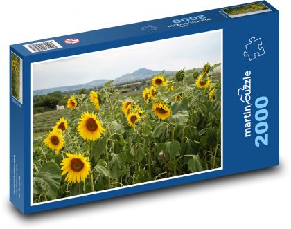 Sonnenblumenfeld - Puzzle - 2000 Teile