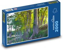 Baum - Wurzeln, Fluss Puzzle 2000 Teile - 90 x 60 cm