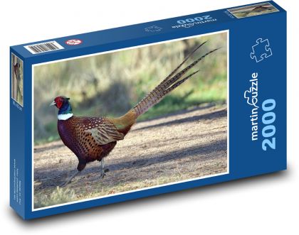 Divá zver - bažant - Puzzle 2000 dielikov, rozmer 90x60 cm 