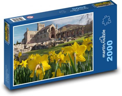 Szkocja - kościół - ruiny - Puzzle 2000 elementów, rozmiar 90x60 cm