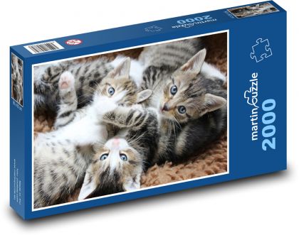 Mačka , mačiatka, mačičky - Puzzle 2000 dielikov, rozmer 90x60 cm 