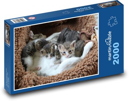 Kotě - koťátka v pelíšku - puzzle 2000 dílků