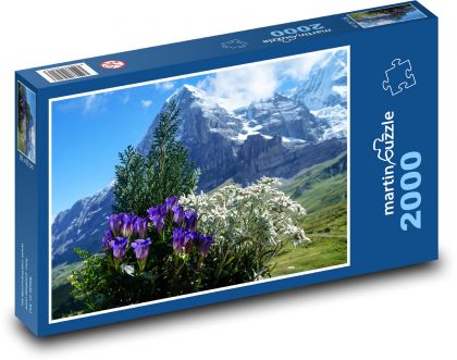 Kvety - hory, Alpy - Puzzle 2000 dielikov, rozmer 90x60 cm 