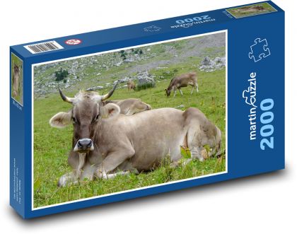 Kráva - dobytek, hory - Puzzle 2000 dílků, rozměr 90x60 cm
