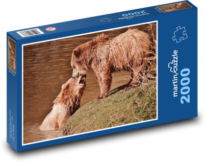 Medvěd Hnědý - divoké zvíře - Puzzle 2000 dílků, rozměr 90x60 cm