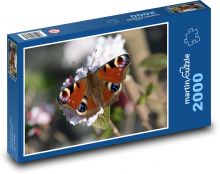 Motýl - hmyz Puzzle 2000 dílků - 90 x 60 cm
