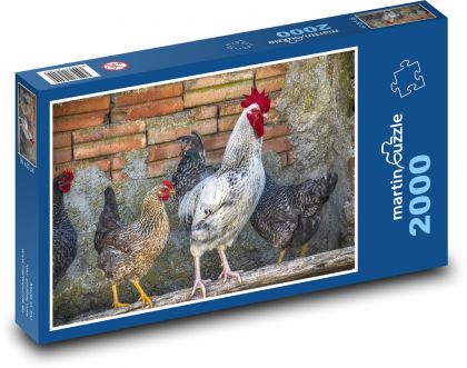 Hen - rooster, domestic animals - Puzzle 2000 pieces, size 90x60 cm 
