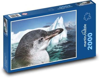 Tučňák - led, moře - Puzzle 2000 dílků, rozměr 90x60 cm
