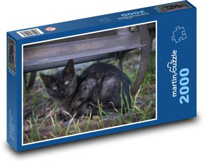 Mačiatko - čierna mačka, mláďa - Puzzle 2000 dielikov, rozmer 90x60 cm 