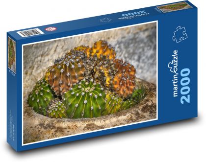 Kaktus - rastlina, sukulent - Puzzle 2000 dielikov, rozmer 90x60 cm 