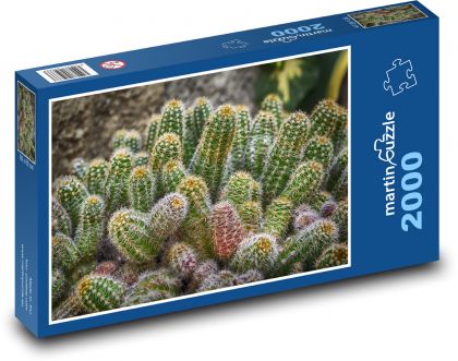 Kaktusy - příroda, rostlina - puzzle 2000 dílků