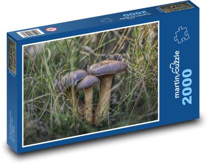 Mushrooms - herb, field - Puzzle 2000 pieces, size 90x60 cm 
