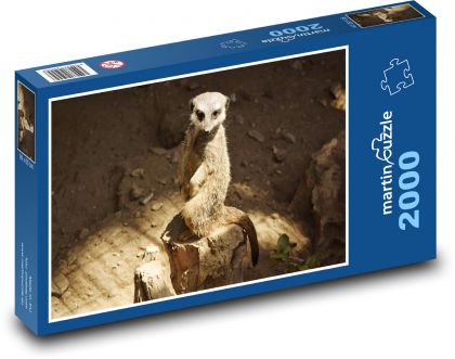 Meerkat - animal, rodent - Puzzle 2000 pieces, size 90x60 cm 