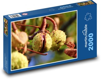 Kastanie - Baum, Zweig - Puzzle - 2000 Teile
