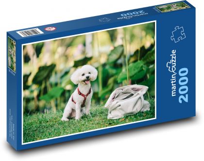 Roztomilé štěně - pudl, pes - Puzzle 2000 dílků, rozměr 90x60 cm
