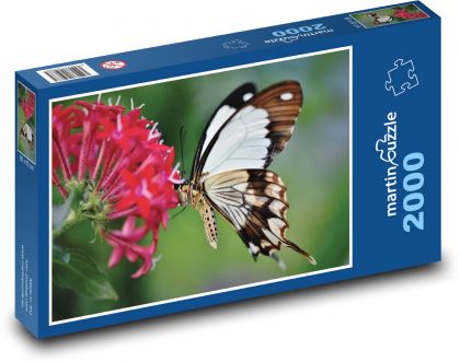 Butterfly - flower, dazzle - Puzzle 2000 pieces, size 90x60 cm 