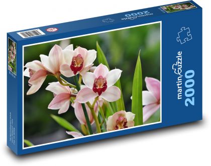 Orchideje - pokojová květina, okvětní lístky - Puzzle 2000 dílků, rozměr 90x60 cm