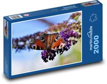 Schmetterling - Pfauenauge, Insekt Puzzle 2000 Teile - 90 x 60 cm