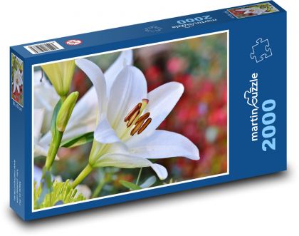 Bílá lilie - květina, zahrada - Puzzle 2000 dílků, rozměr 90x60 cm