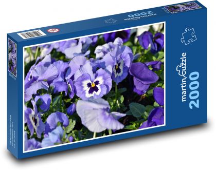 Modrá maceška - květy, fialová rostlina  - Puzzle 2000 dílků, rozměr 90x60 cm