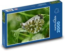 Motyl - owad, skrzydło Puzzle 2000 elementów - 90x60 cm