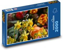 Żonkile - żółte kwiaty, wiosenne rośliny Puzzle 2000 elementów - 90x60 cm
