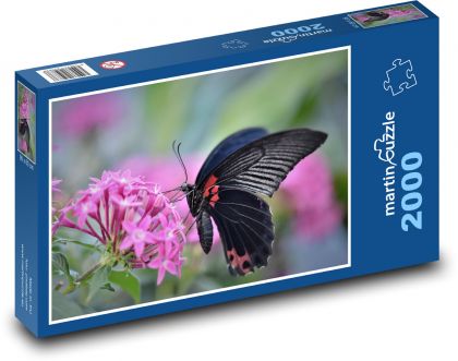 Tropický motýl - hmyz, křídlo - puzzle 2000 dílků