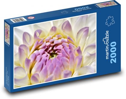 Kvet georgíny - rastlina, ružový kvet - Puzzle 2000 dielikov, rozmer 90x60 cm 