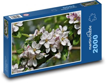 Jabloňové květy - okvětní lístky, strom  - Puzzle 2000 dílků, rozměr 90x60 cm