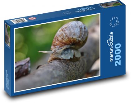 Hlemýžď - ulita, příroda - Puzzle 2000 dílků, rozměr 90x60 cm