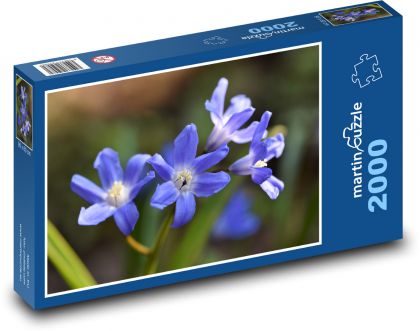 Ladonka - Scilla, Blume - Puzzle - 2000 Teile