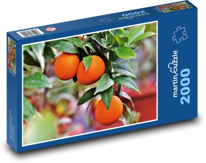 Oranges - citrus fruit, tree - Puzzle 2000 pieces, size 90x60 cm 